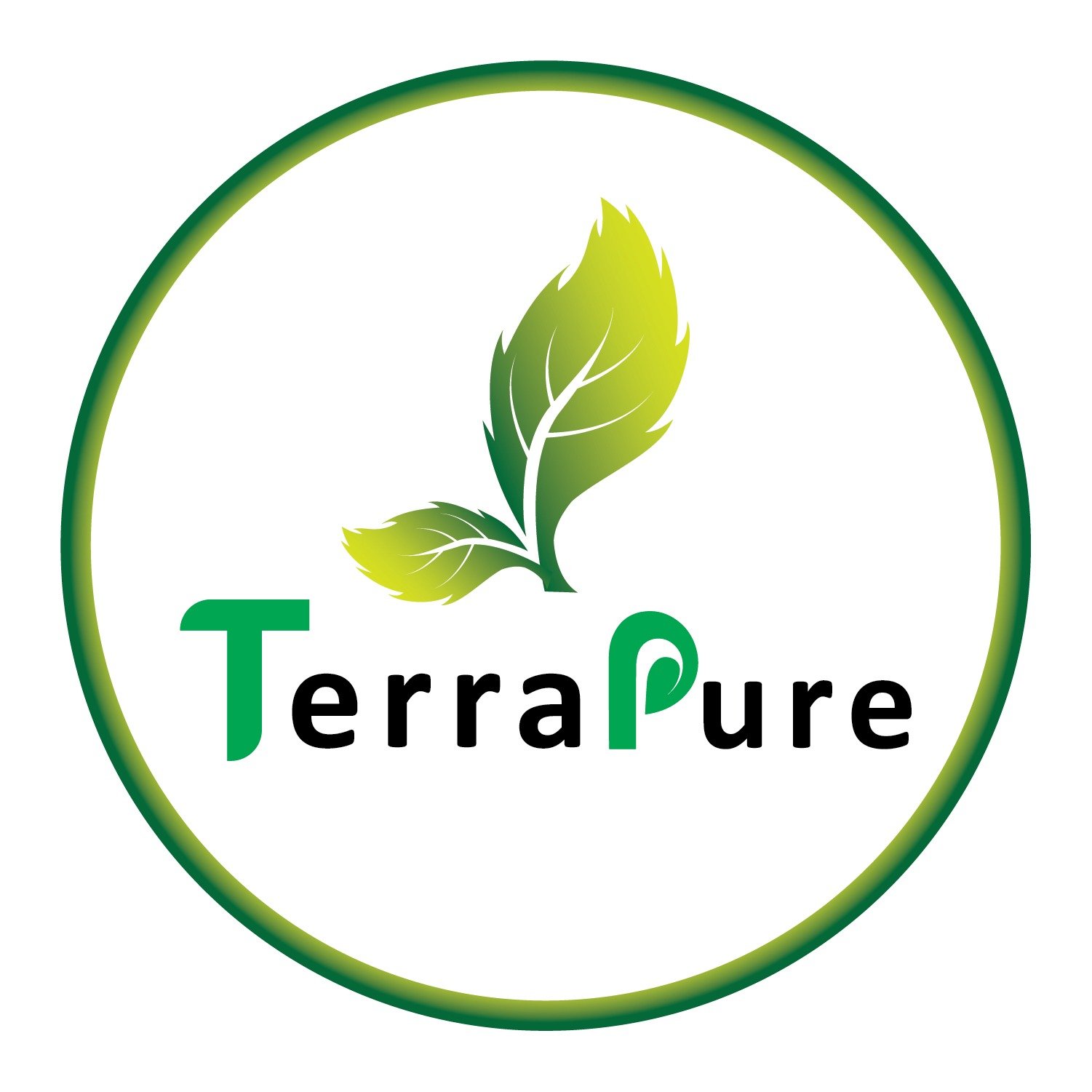 "Terra Pure logo – a modern and clean design representing purity, sustainability, and natural products."